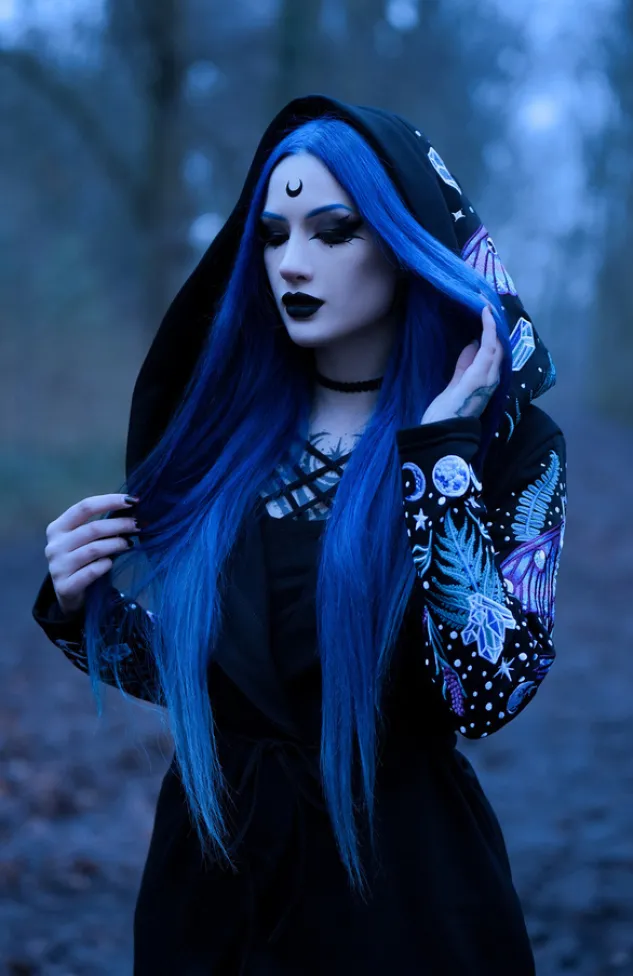 Restyle ENCHANTED FOREST HOODIE with detailed embroidery moth and fern